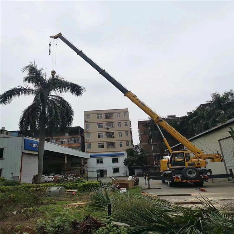 攀枝花汽车吊出租多少钱？全面解析与市场行情